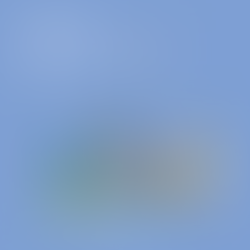 신우면세점 뉴욕가자 이벤트