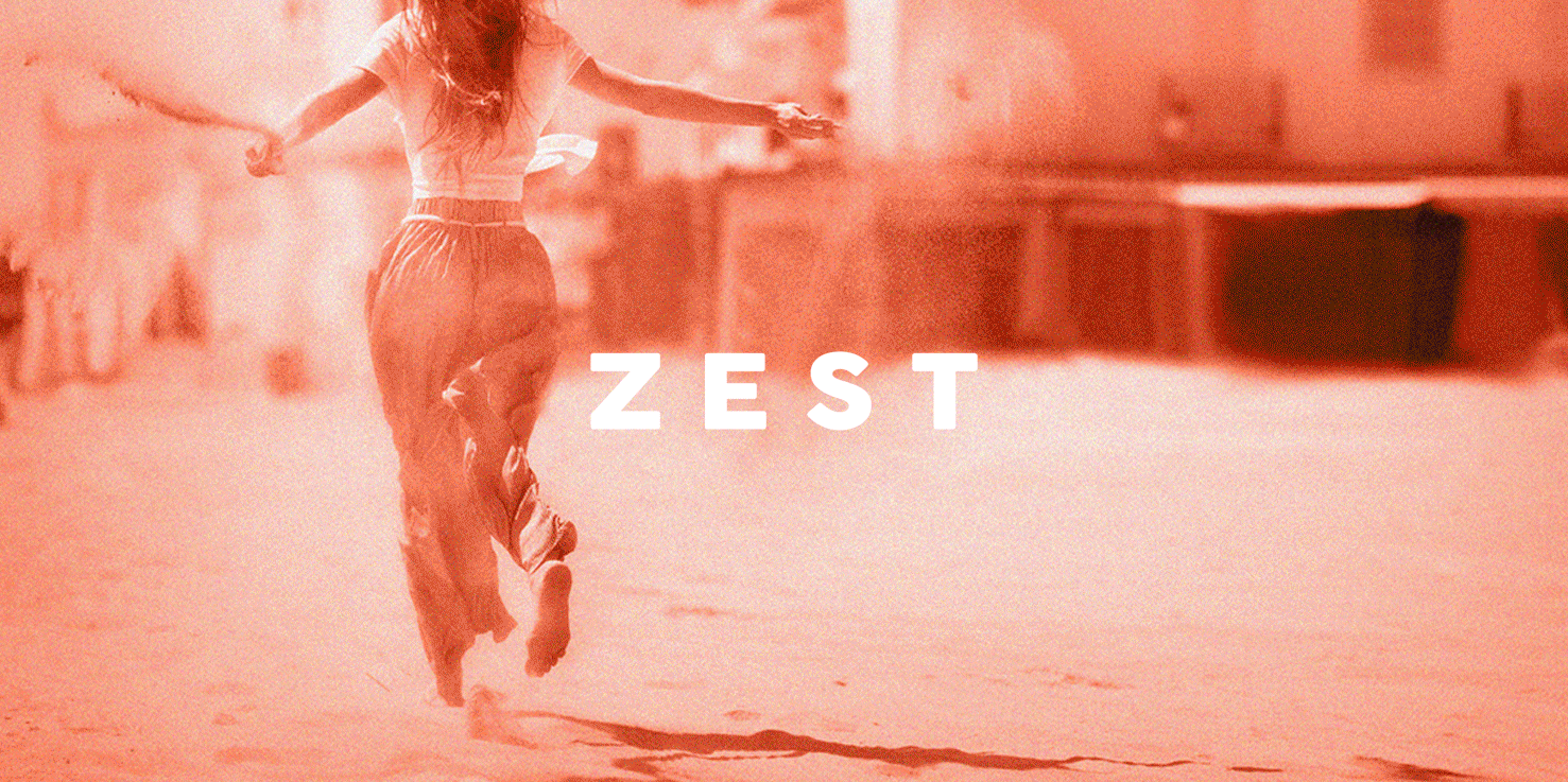 Zest-LandingPage.gif