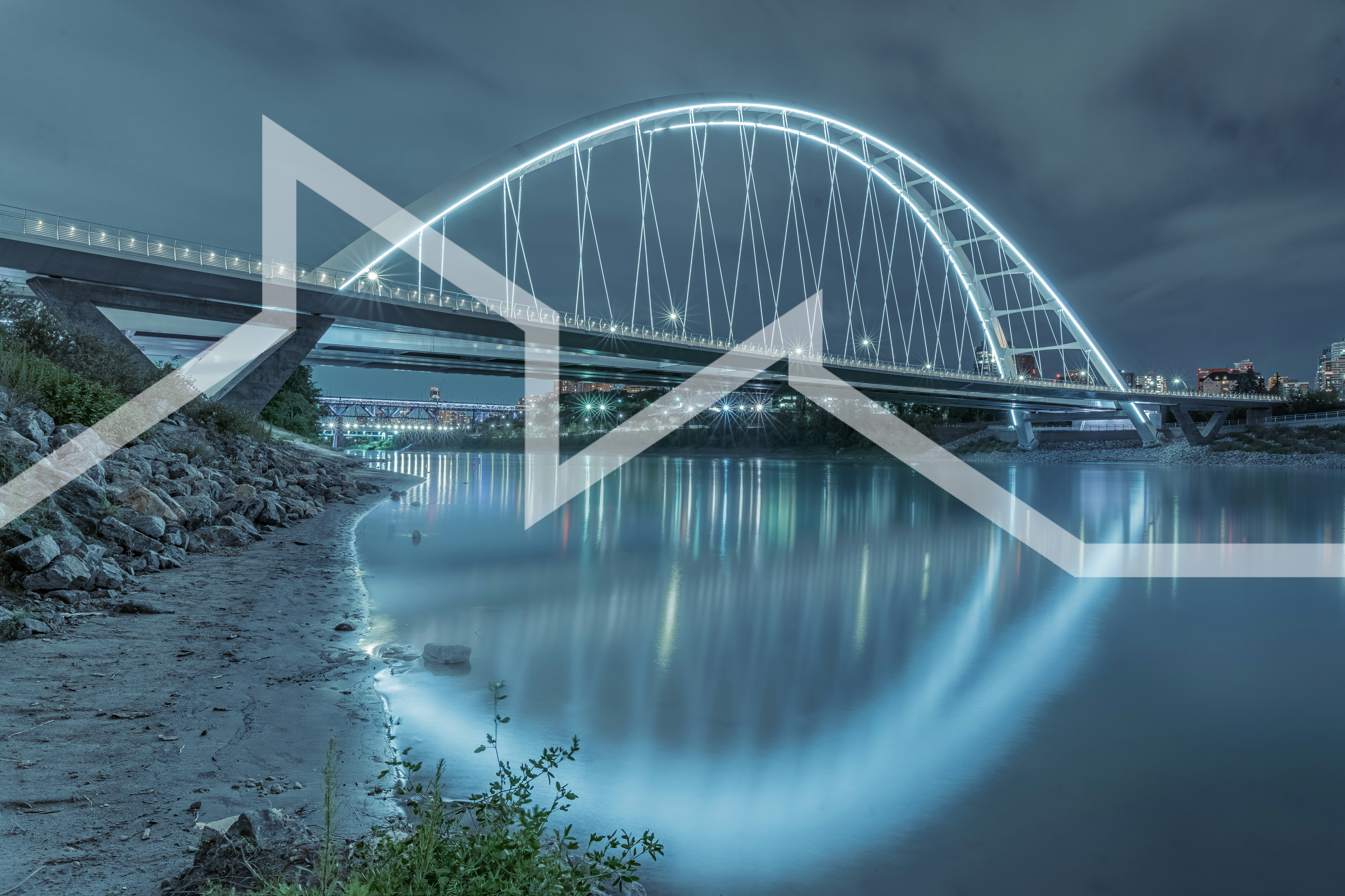 condor-wei-l_C_R1cULnA-unsplash 2.jpg