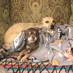 81938237_3035388643138687_43467591212114