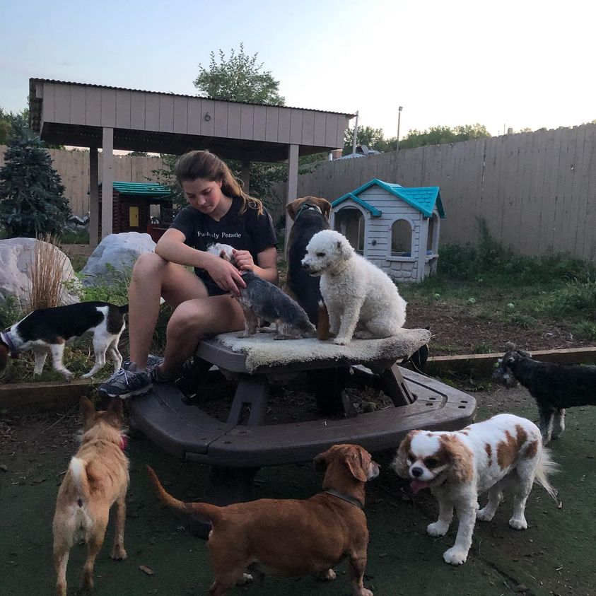 doggy day care bedford