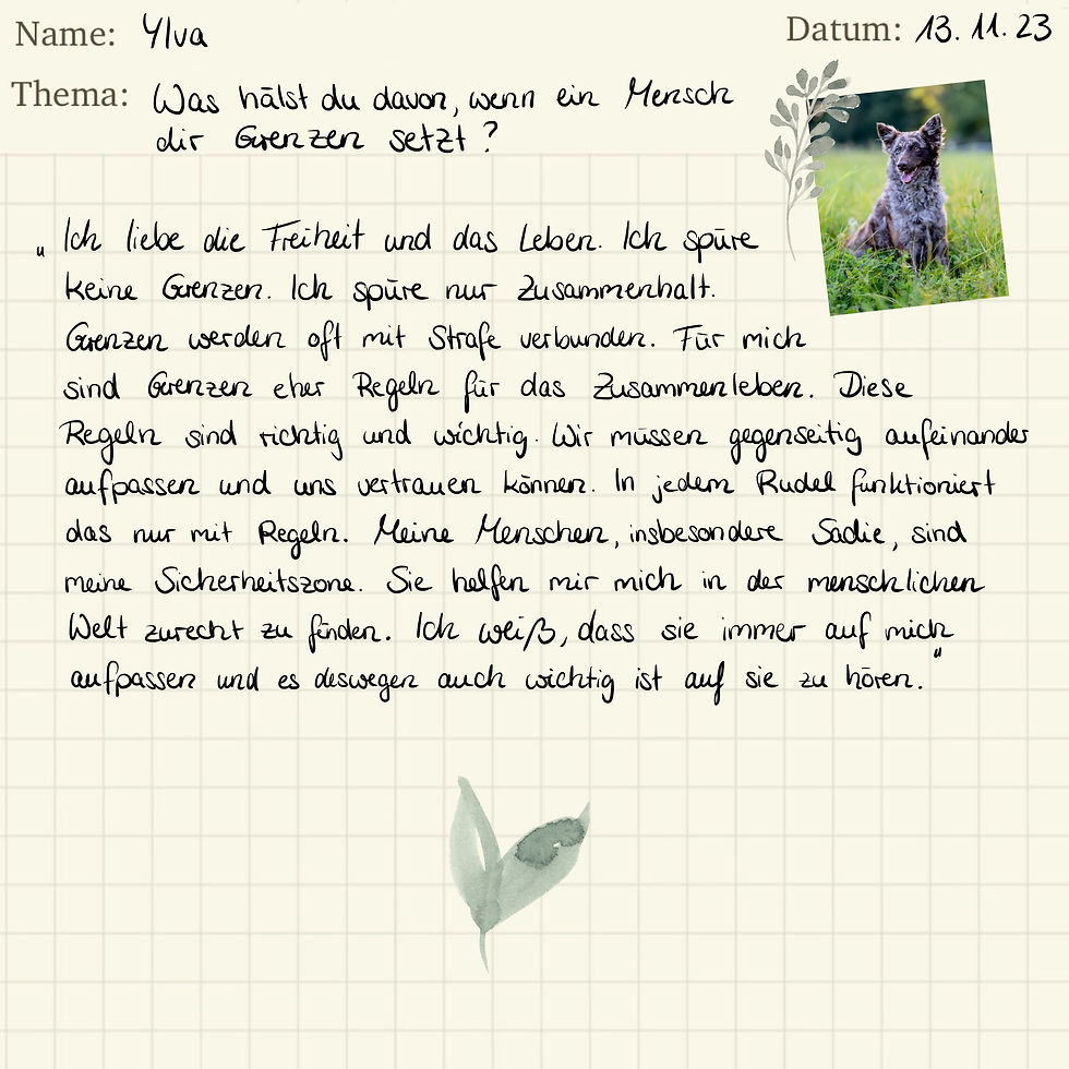 Miniaturbild: Tierkommunikation 3-4 Fragen