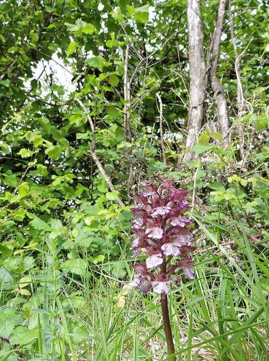 DSCN1884.jpg