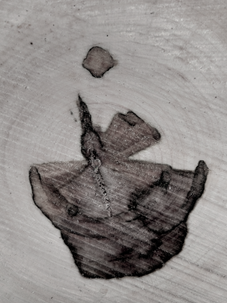 Métamorphose : gnossiennes