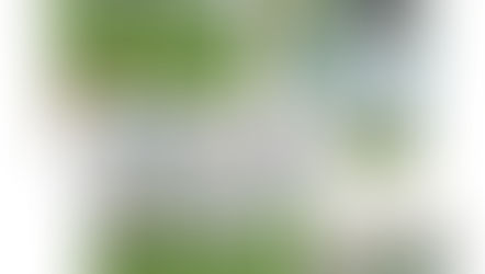 A mulher vista pela turma T13 da EB de Conceição