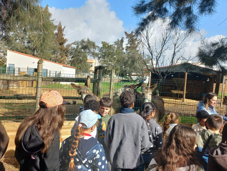 Atividades na Quinta Pedagógica