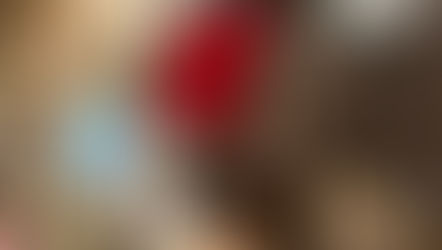 Alunos do 4.º Ano da EB da Lejana visitam a Sé e assistem a encenação sobre o Grande Órgão