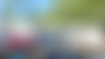 Dia Internacional da Biodiversidade