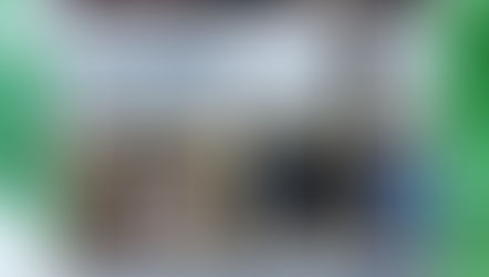 T15 observa as Aves na Ria Formosa