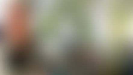 Roadshow do Voluntariado