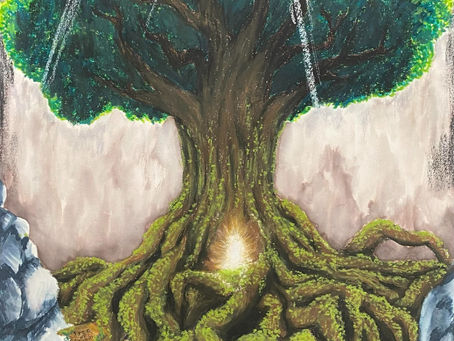 Escola Secundária Pinheiro e Rosa distinguida com três prémios nos Desafios Eco-Escolas