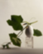 Thumbnail: The Very Eye of Night Eau de parfum