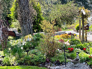 In bloom since 1979, The Gardens at HCP (formerly Glendale Gardens & Woodland) includes over nine acres of gardens on a 103 acre site in Saanich, just outside Victoria, BC. These lovely gardens are set in a conservation park with nature trails, wetlands, and bird watching sites.

Victoria's mild pacific winters allow for year round gardening making any time of year the perfect time to visit. Tour the Winter Garden, the Japanese style Takata Garden, the Zen Garden, the Rhododendron Garden, of the Heather Gardens. Each turn through these meandering gardens will surprise you with the bountiful gardens that flourish in the Pacific Northwest.