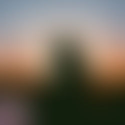 Tourne toi vers la lumière et l'ombre sera derrière toi.