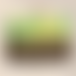 Comment évolue une société ?