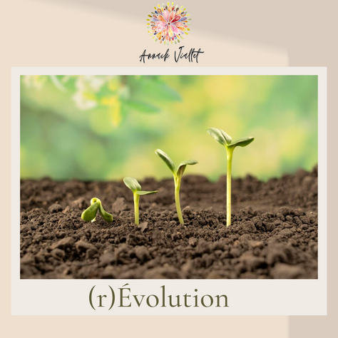 Comment évolue une société ?