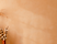 fond.png