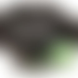 Holiday Update: Something New Is Coming!!!
