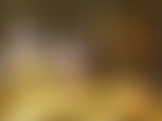 Chandigarh Escorts and Call Girls Service With Free Hotel Facility