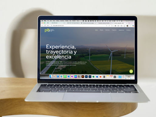 Branding y diseño web institucional