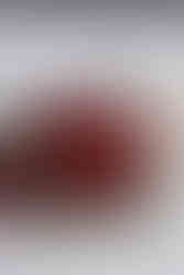 Ramo de rosas rojas sobre cama