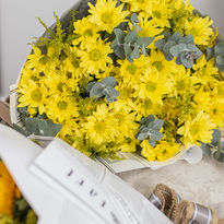 Ramo de margaritas amarillas, flores frescas