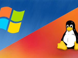 Linux Vs. Windows: The Two Web Server Solutions In Comparison