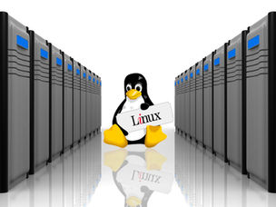 Linux or Windows Hosting – Which is Better for Your WordPress Website?