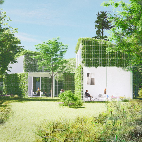 ph7 홍성범 건축가가 건축설계 인테리어 디자인한 제주도 담쟁이 카페 잎