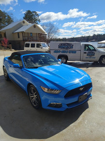 blue mustang detail.jpg