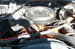 Bobs cars 334.JPG