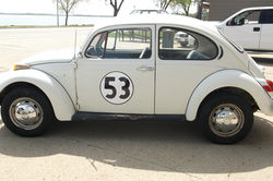 Bobs cars 303.JPG