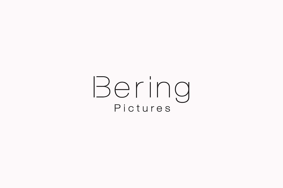 Bering Pictures 形象識別設計
