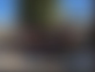 【2025年11月29日】ブラジル人と一緒に東京散歩　～相撲と北斎の街、両国を散歩しよう！