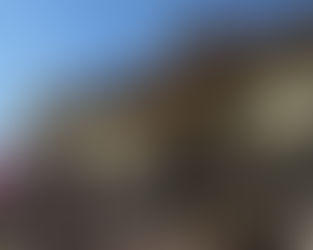 本門佛立宗と水野龍の遺志＝日本移民事業は失敗だったか？＝南米最大の仏教新寺院の意味