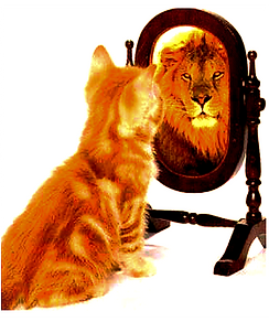 Coaching notre pouvoir
