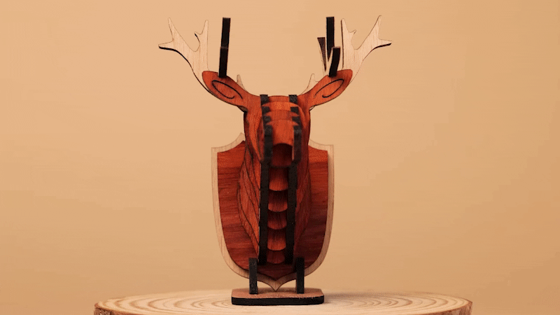 20221005220001851_33.gif