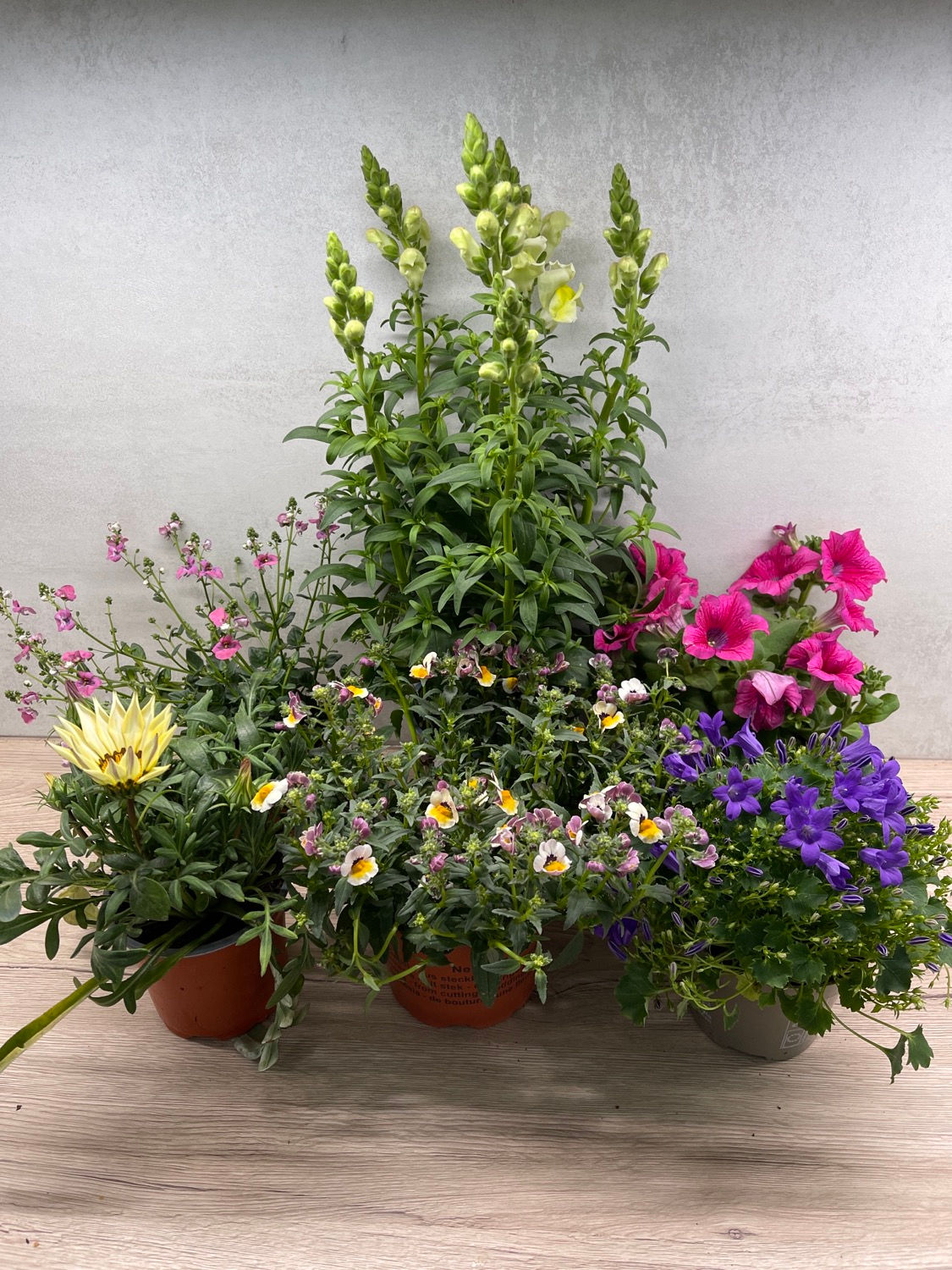APRIL OUTDOOR FLORAL COLLECTION