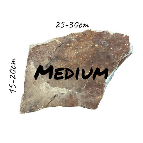 FEEDING SLATE MEDIUM THE TORTOISE HUT