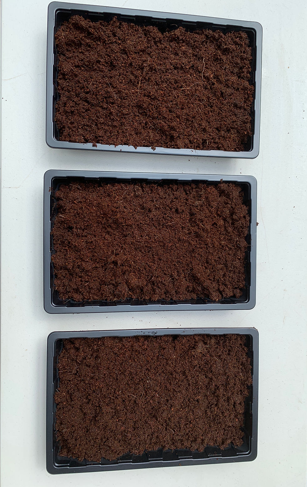 Thumbnail: SEED ~ WEED ~ FEED GROWING KIT