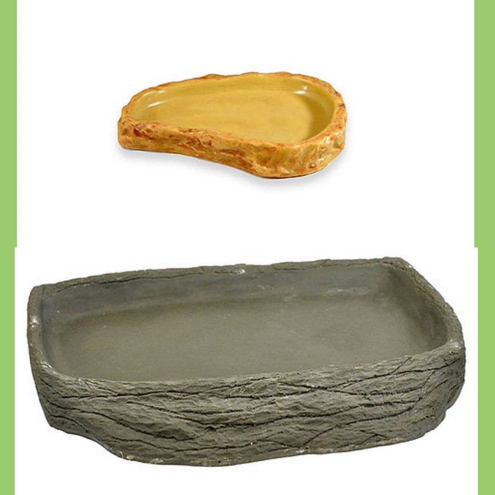 Accessories for Tortoises The Tortoise Hut Nationwide Delivery 3/3