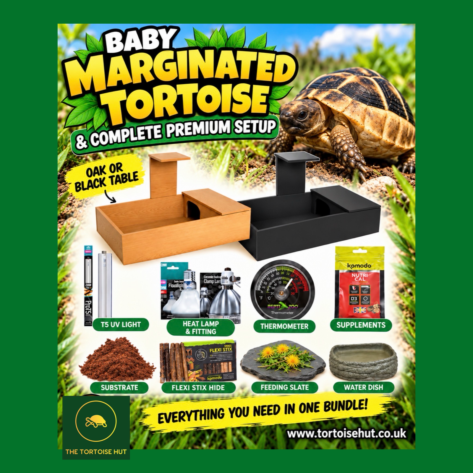 MARGINATED TORTOISE & COMPLETE SETUP WITH DELIVERY