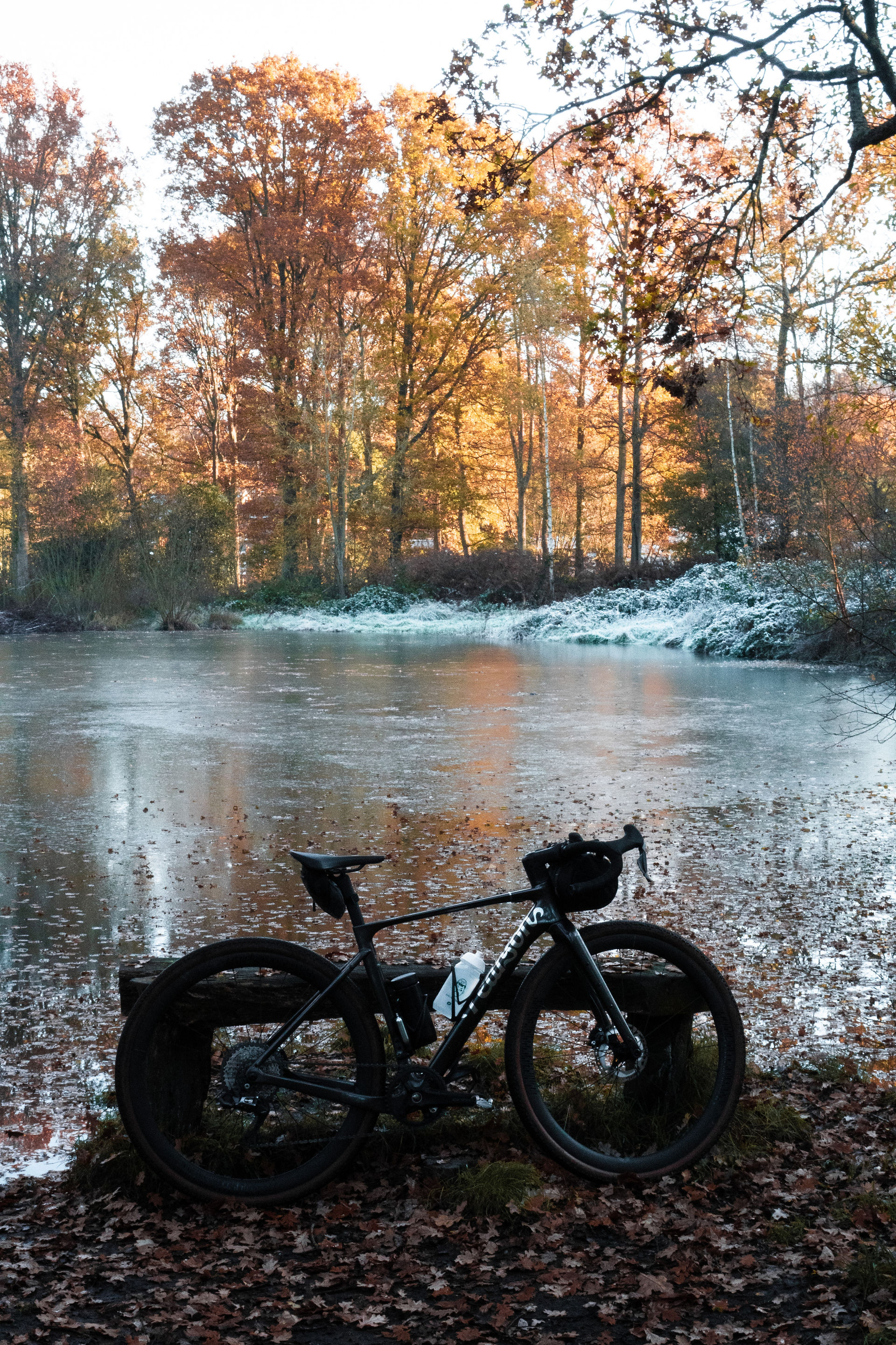 Gravel bike in Esher Common in Surrey