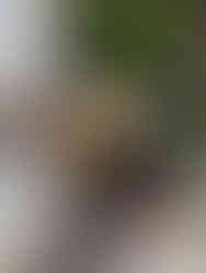 refilling the water bottle on cycling holidays in Portugal