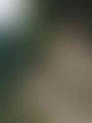 Hiking in South Tyrol