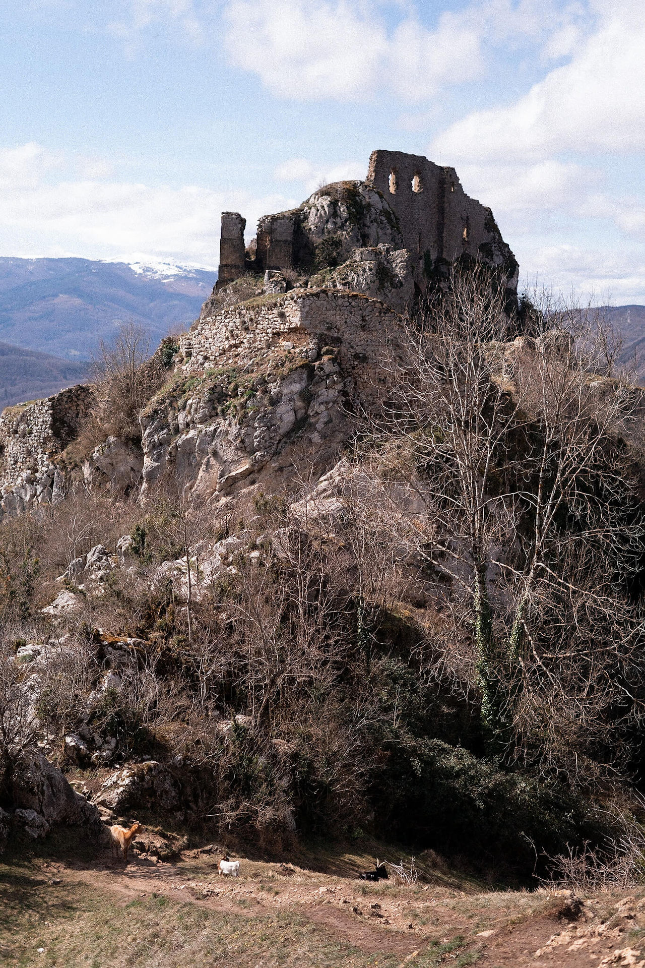 hiking the Cathare Castles in the French Pyrenees
