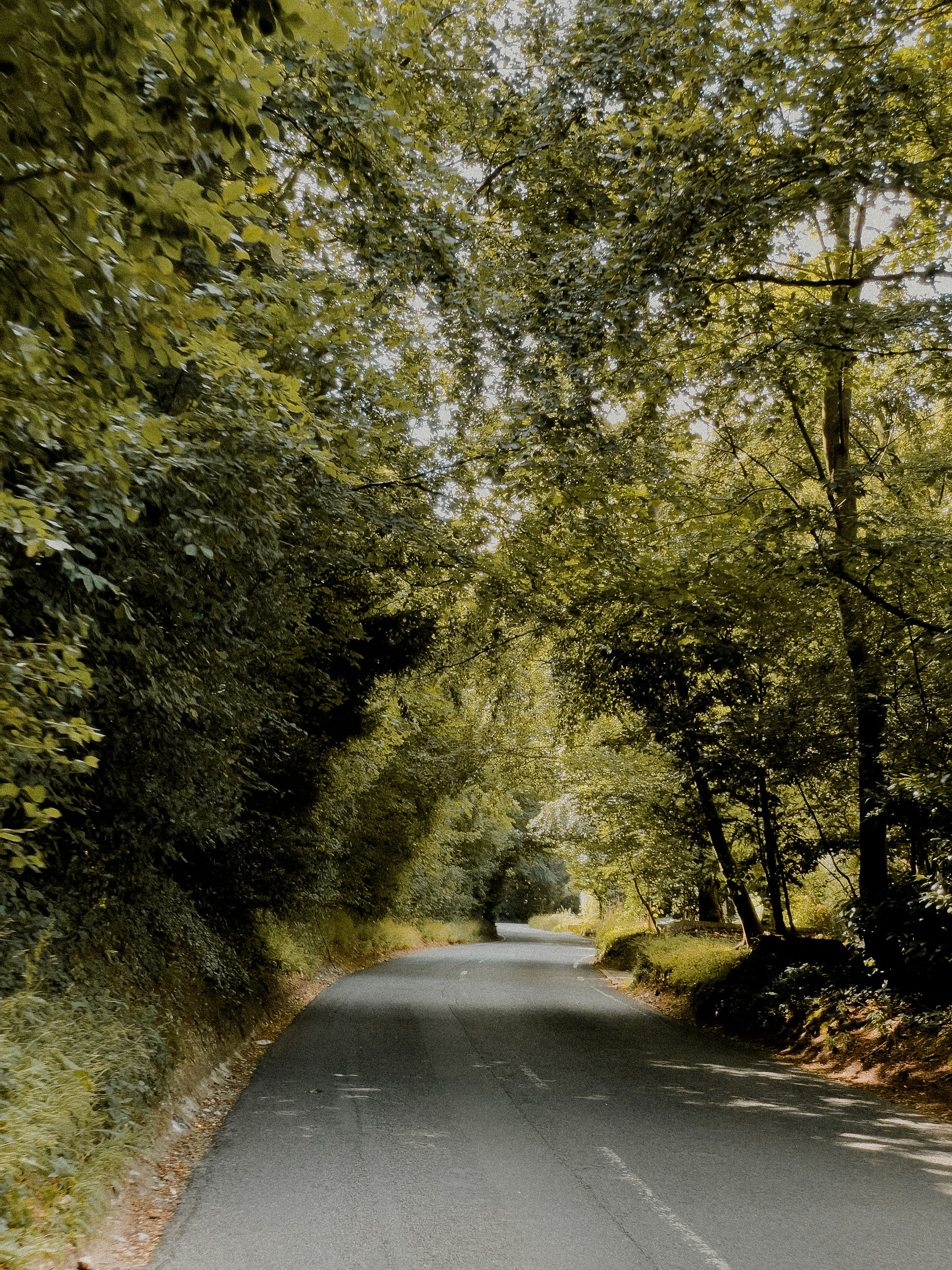 road cycling in the Surrey Hills