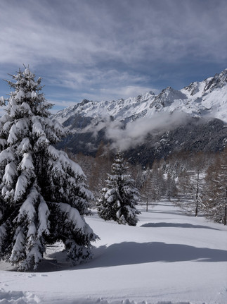 snowy landscape in Chamonix