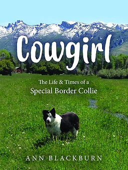 Cowgirl book the life of a border collie author Ann Blackburn