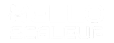 White text on black background states HELLO SCALEUP, a brand logo.